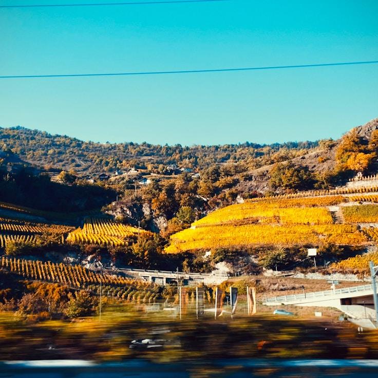 Kids playground area in France